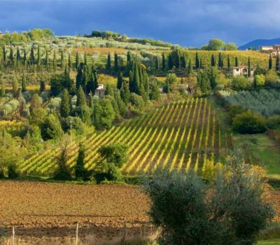 montalcino