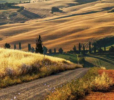 crete senesi