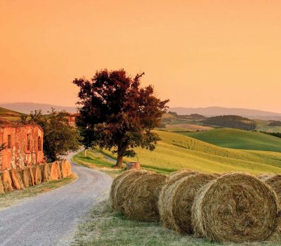 crete senesi